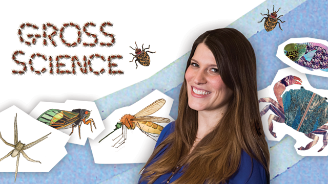 Gross Science | Cascade PBS