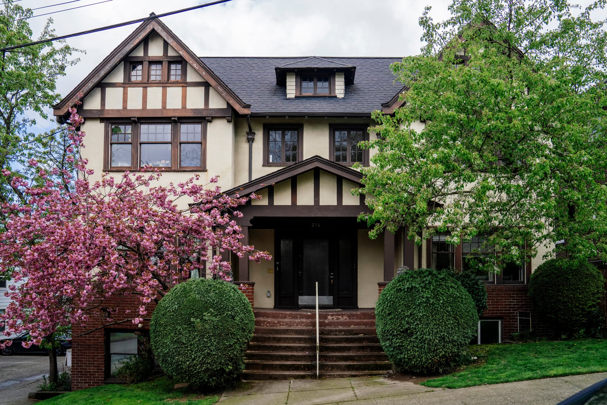 a tudor style home with yellowish-tan paint and wood trim. there are green hedges in front and a blossming pink cherry tree