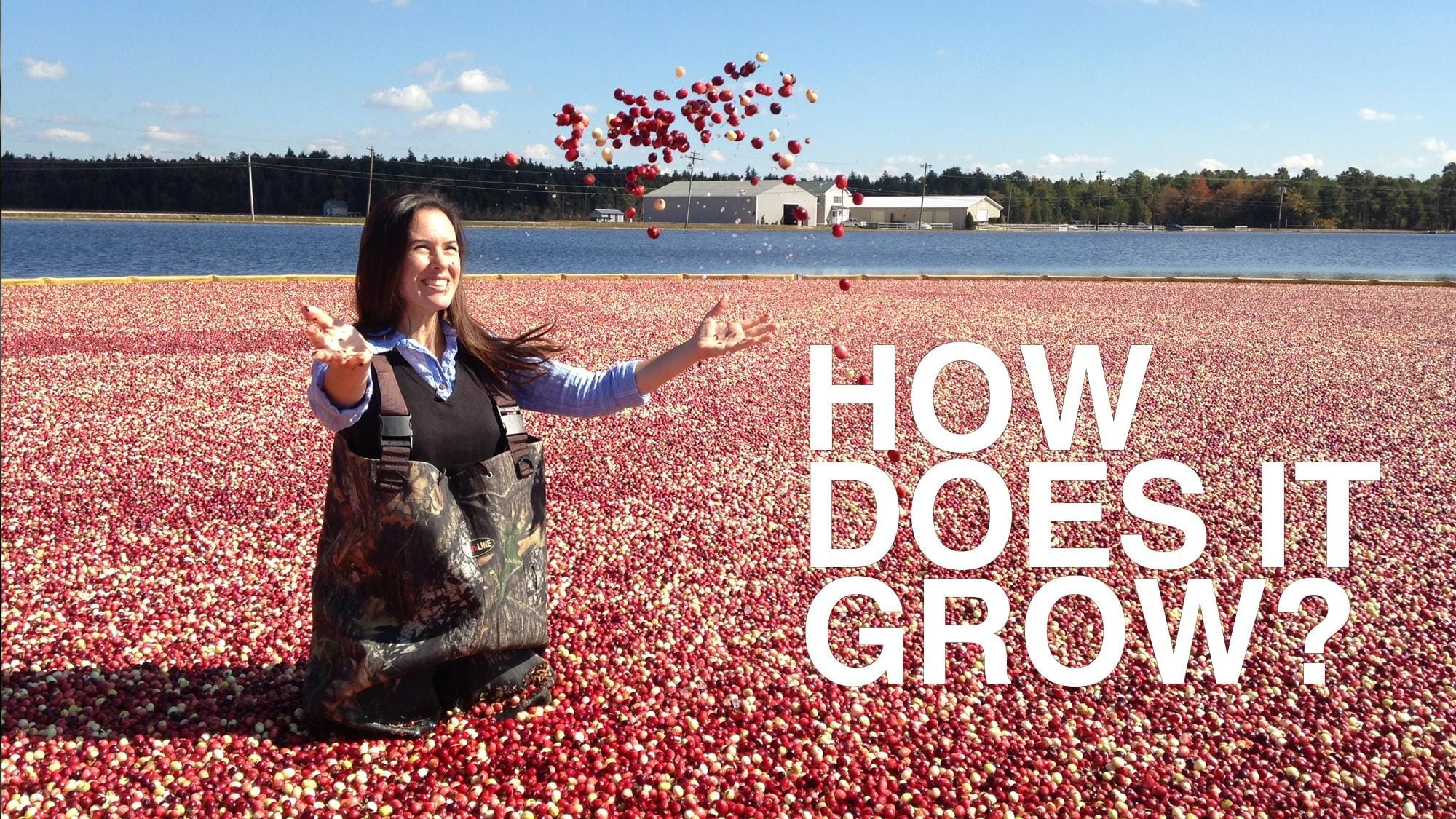 How Does It Grow Cascade Pbs