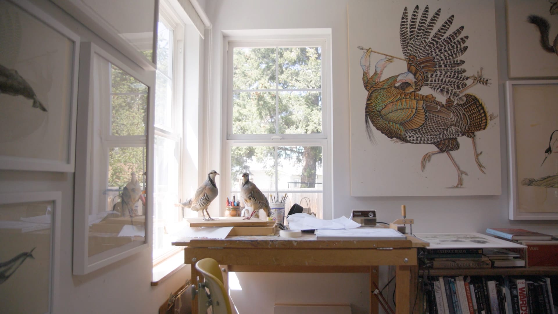 A windowed corner of an art studio with bird illustrations on the walls