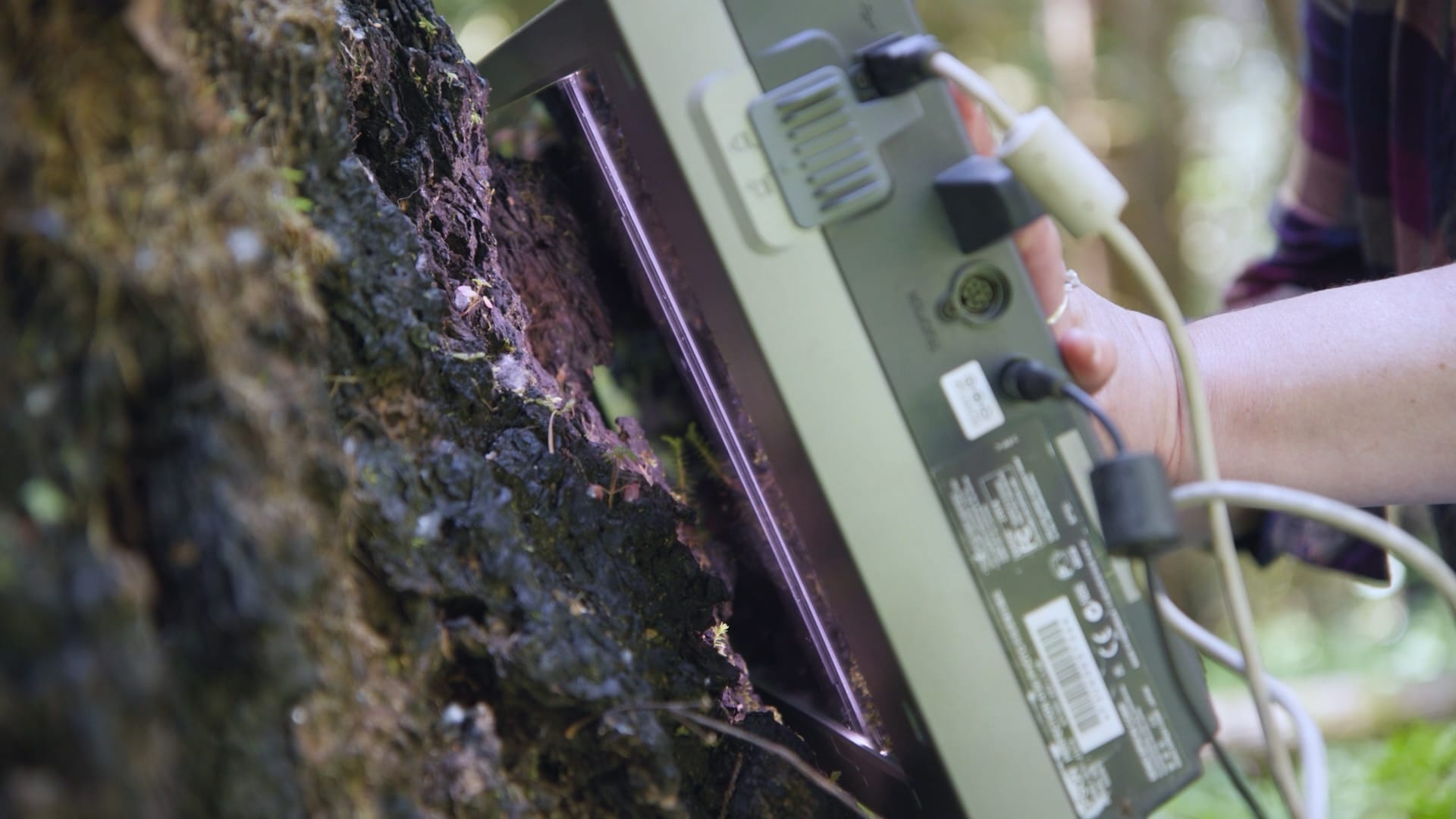 Photo of someone holding a scanner up against a stump in the woods.