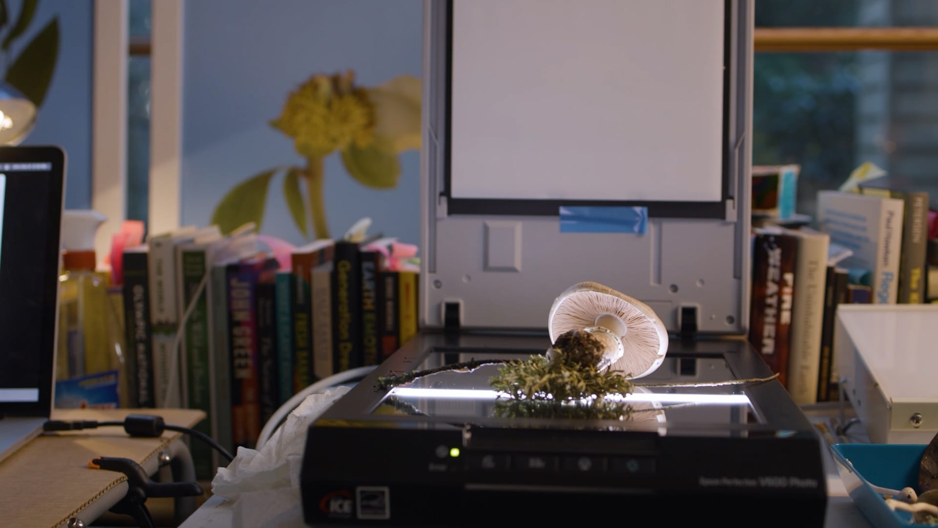 An office in which a mushroom and lichen sit on the glass of a flatbed scanner.