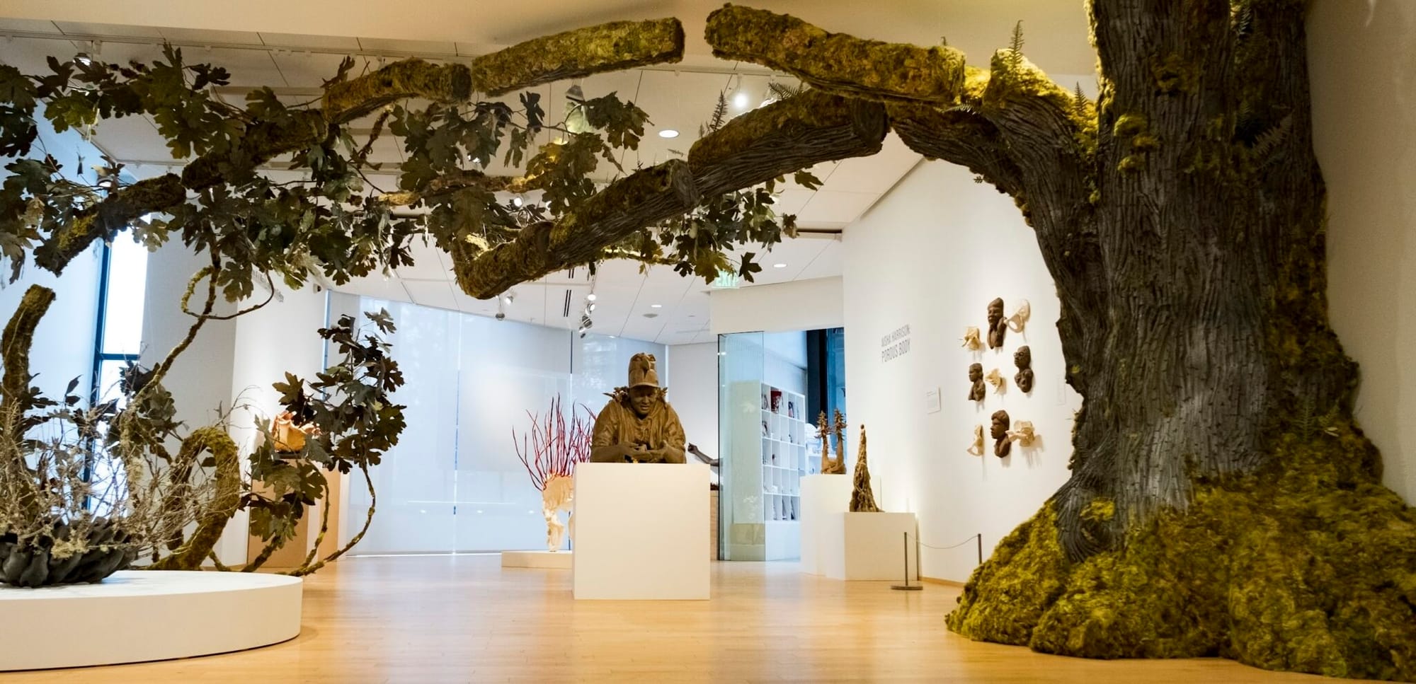 View of a gallery room with a giant mossy tree in the center and clay busts dotted around.