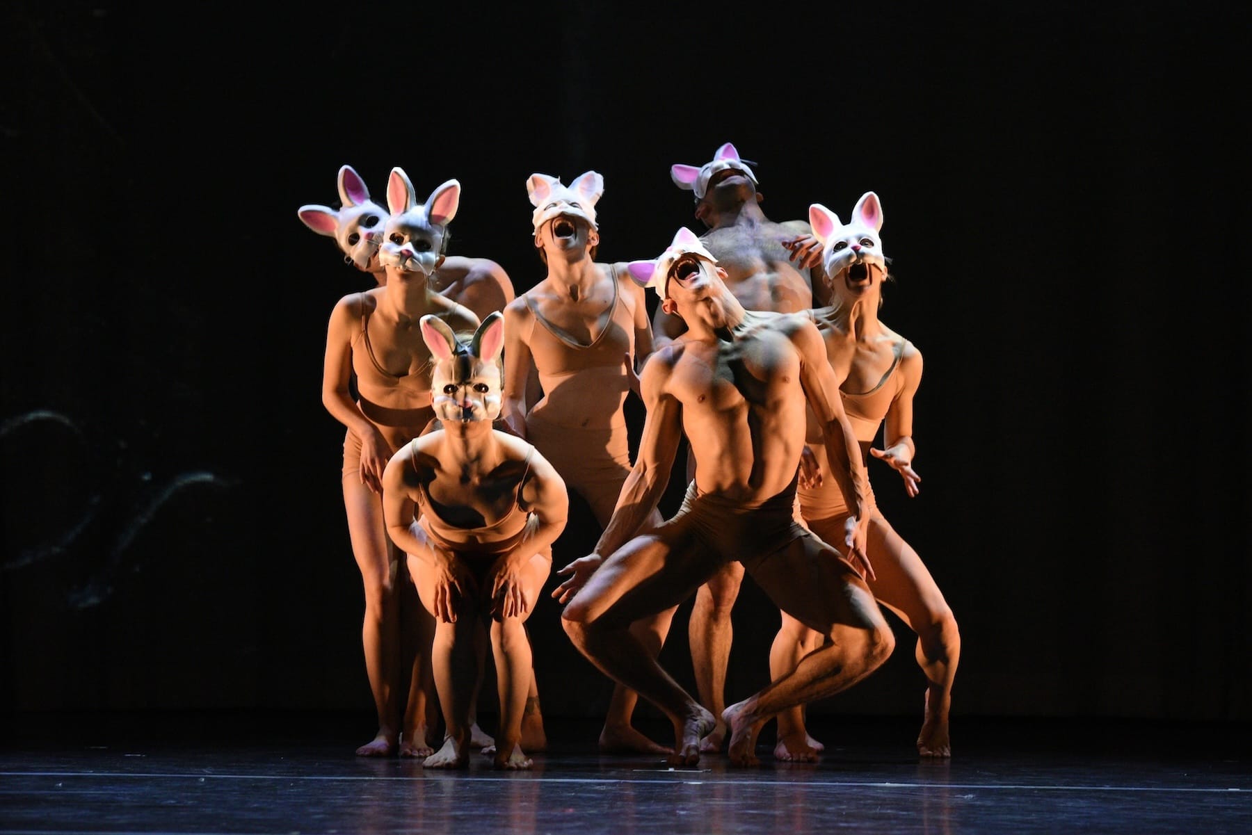 On stage, a group of barely clad dancers group together wearing bunny masks
