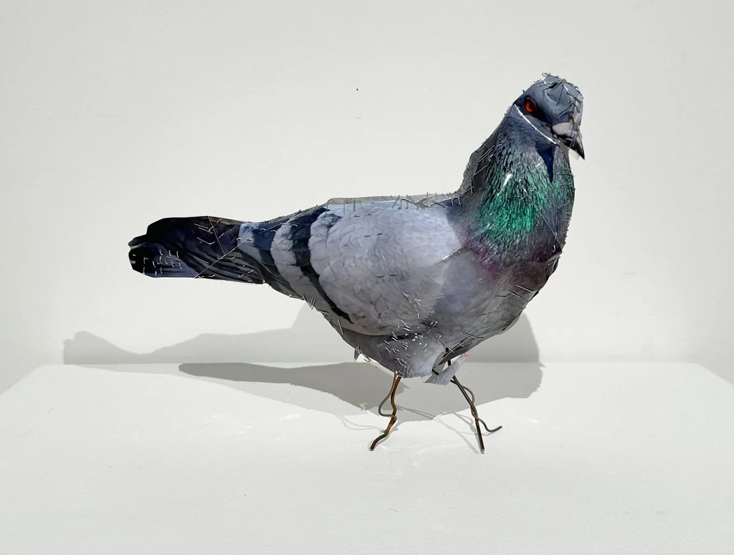 Image of a small art object that looks like a pigeon, but is actually photos of a pigeon stapled together