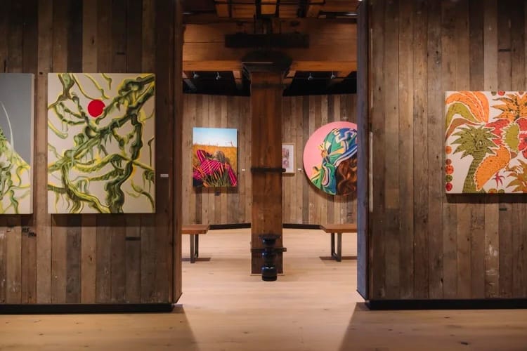 Photo of an art gallery with tall walls made of vertical timbers with abstract paintings hanging on them