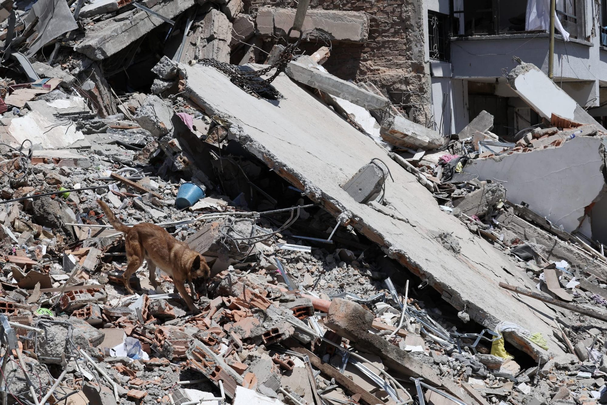 Search for quake survivors in Colombia enters critical phase