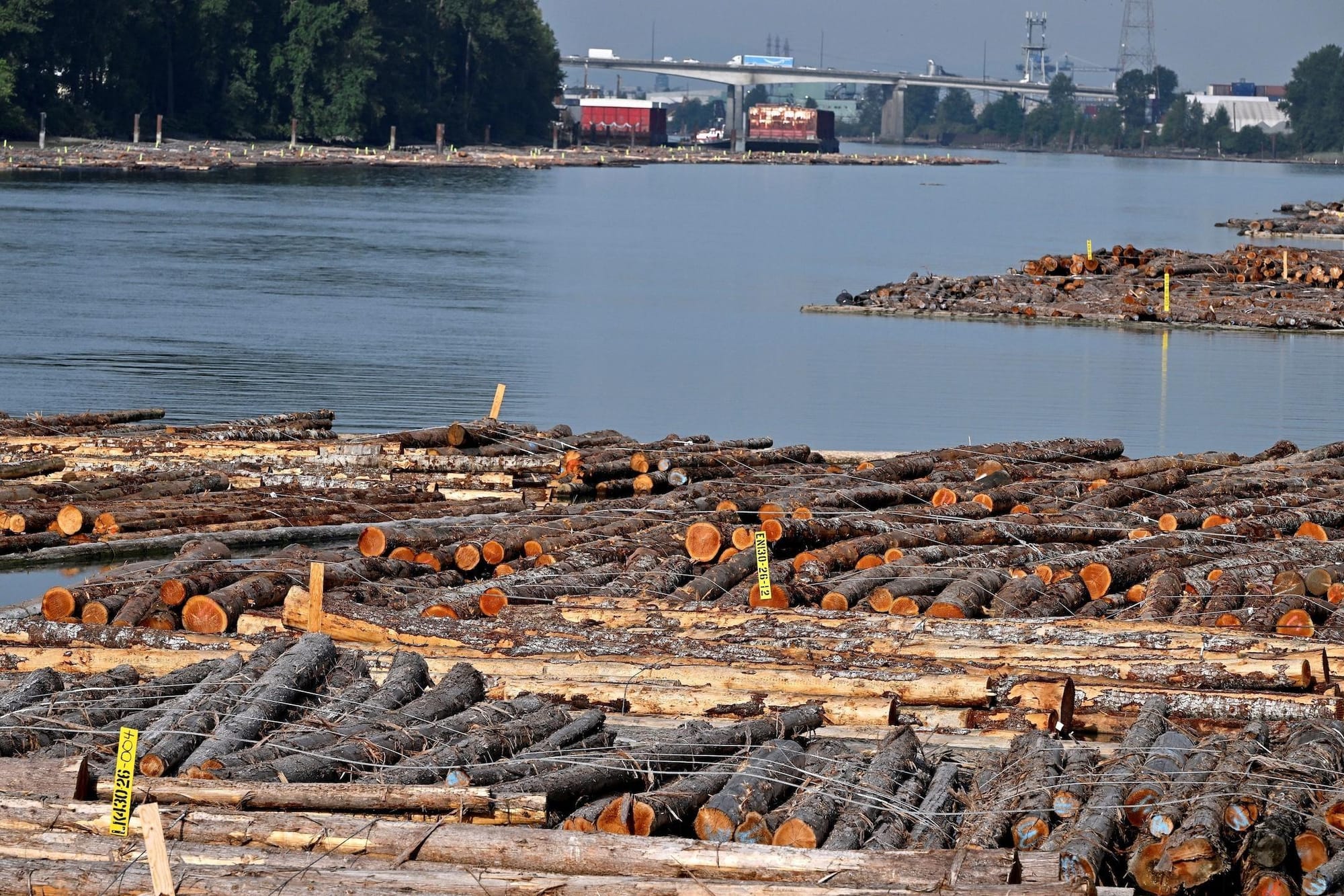News Wrap: Trump pauses his 50% tariffs on Canadian imports