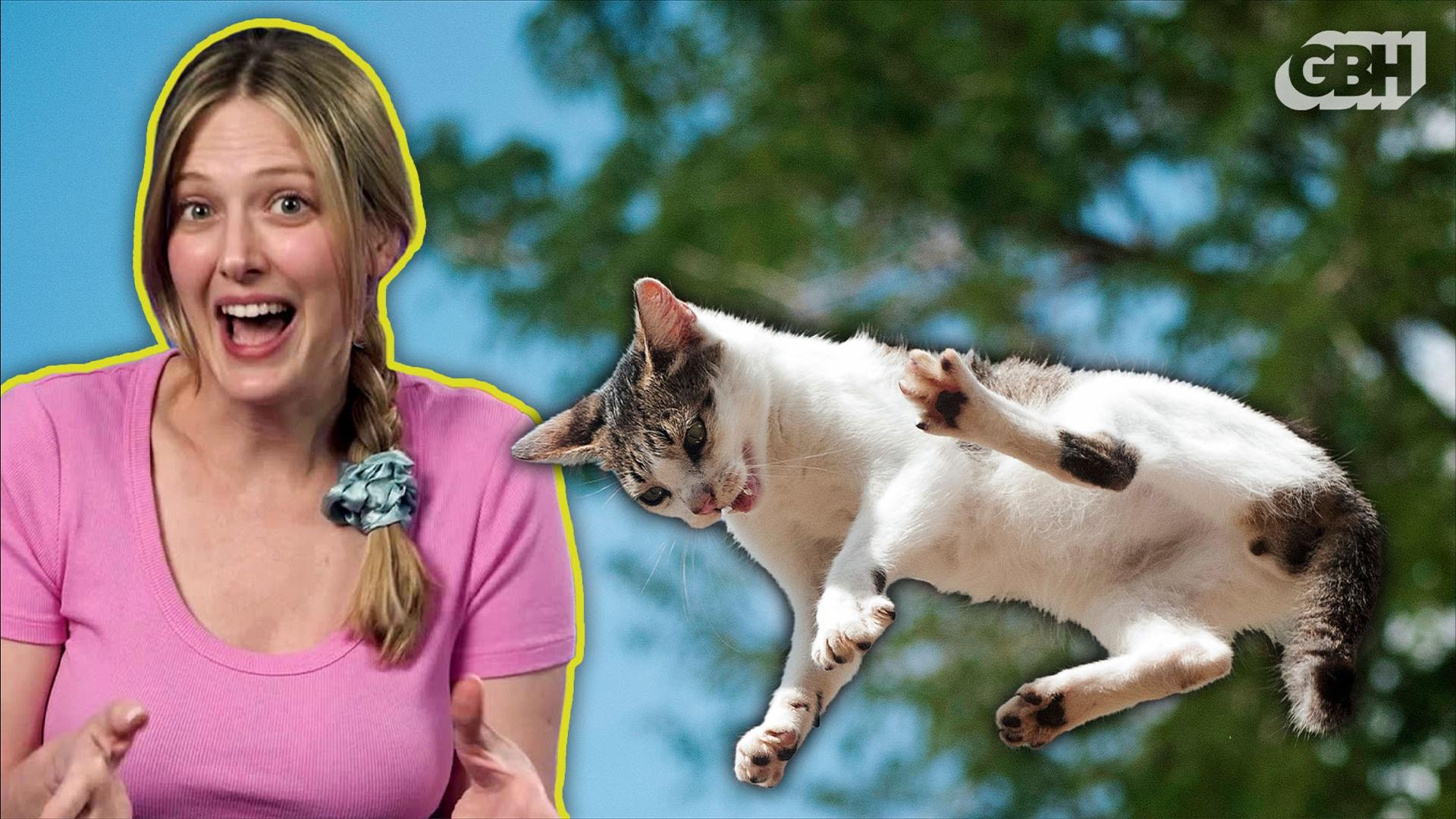 Reported Solution to Cat-Landing Mystery Linked to Robotics Advances