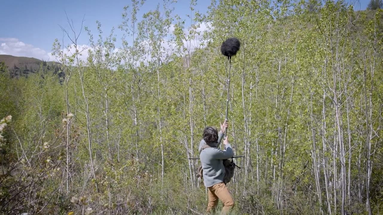 Film still of a woman holding a large boom microphone up to a grove of thin aspen trees.