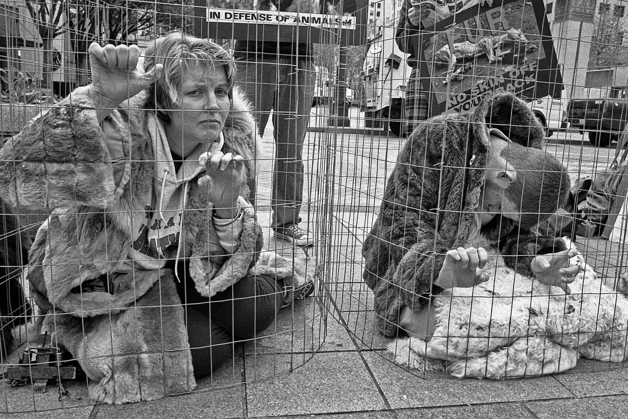Northwest Animal Rights Network demonstrating against animal cruelty at industrialized farms during a protest at Westlake Park in 2000.