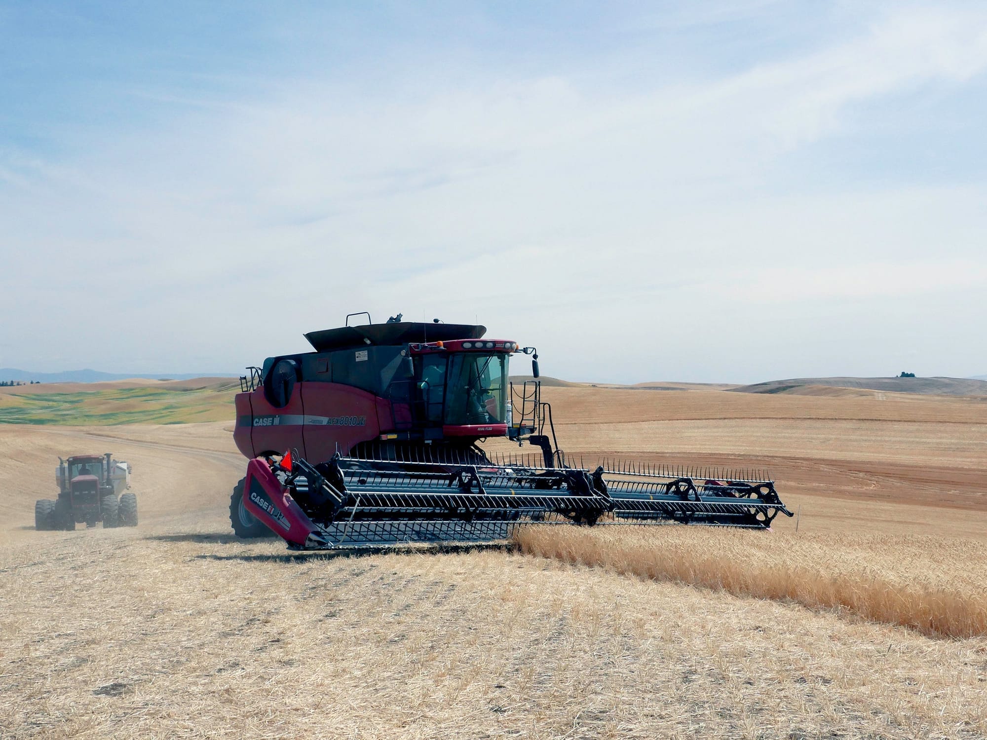 Combine driver runs through a barley field