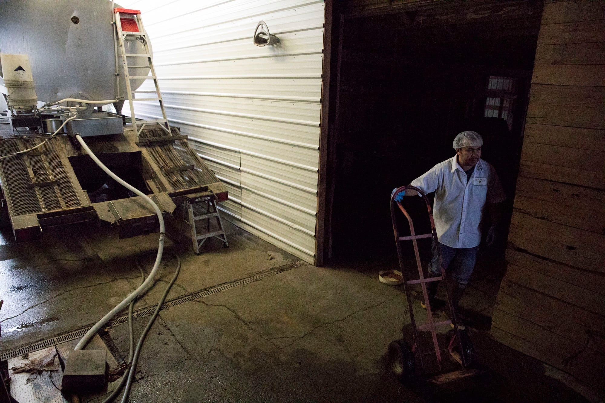 Rigoberto Herrera-Avalos, an employee of Twin Brooks Creamery near Lynden, Washington, leaves the barn where milk is being filled into a truck and other bottles are being prepared for shipment across the Pacific Northwest.