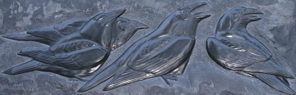 Ravens'