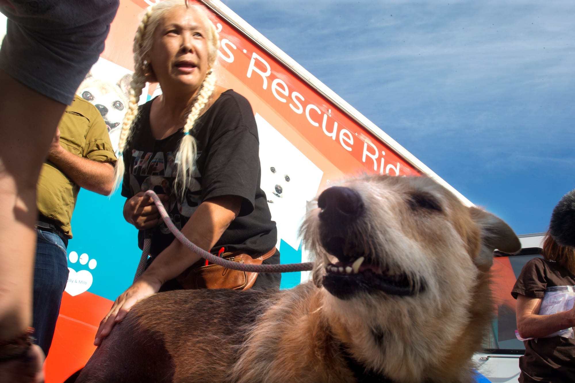 a volunteer with Wings of Rescue, with a terrier mix named Sandy.