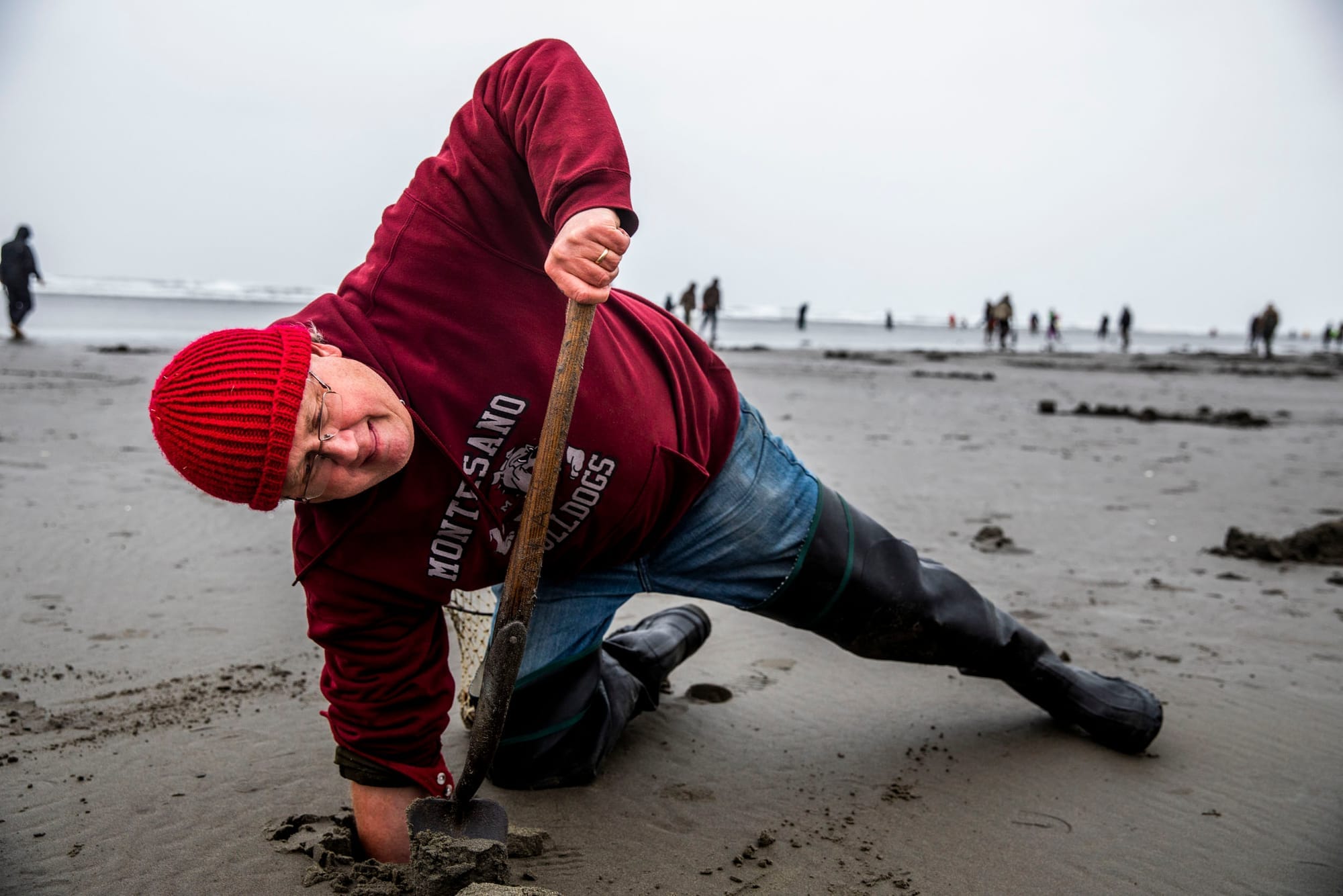 WDFW Coastal Shellfish Manager Dan Ayres of Montesano reaches in the sand for a razor clam.