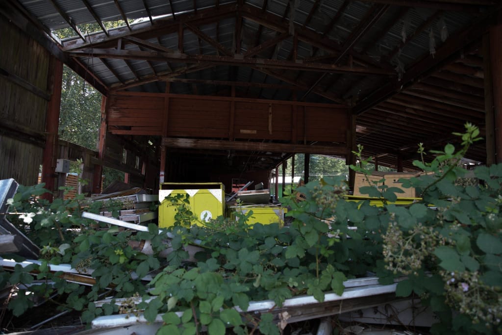 Once a family-owned cedar sawmill