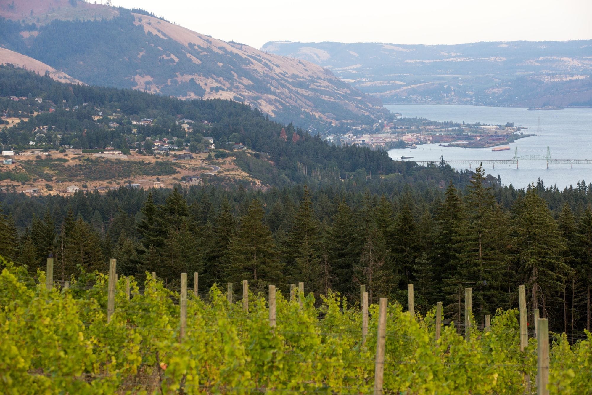 The town of White Salmon