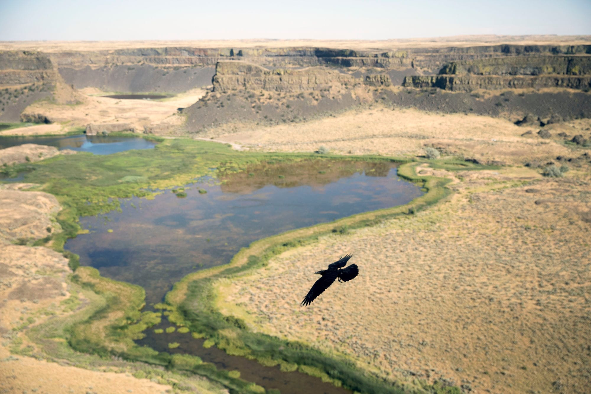 A view from above Dry Falls Lake at Sun Lakes-Dry Falls State Park
