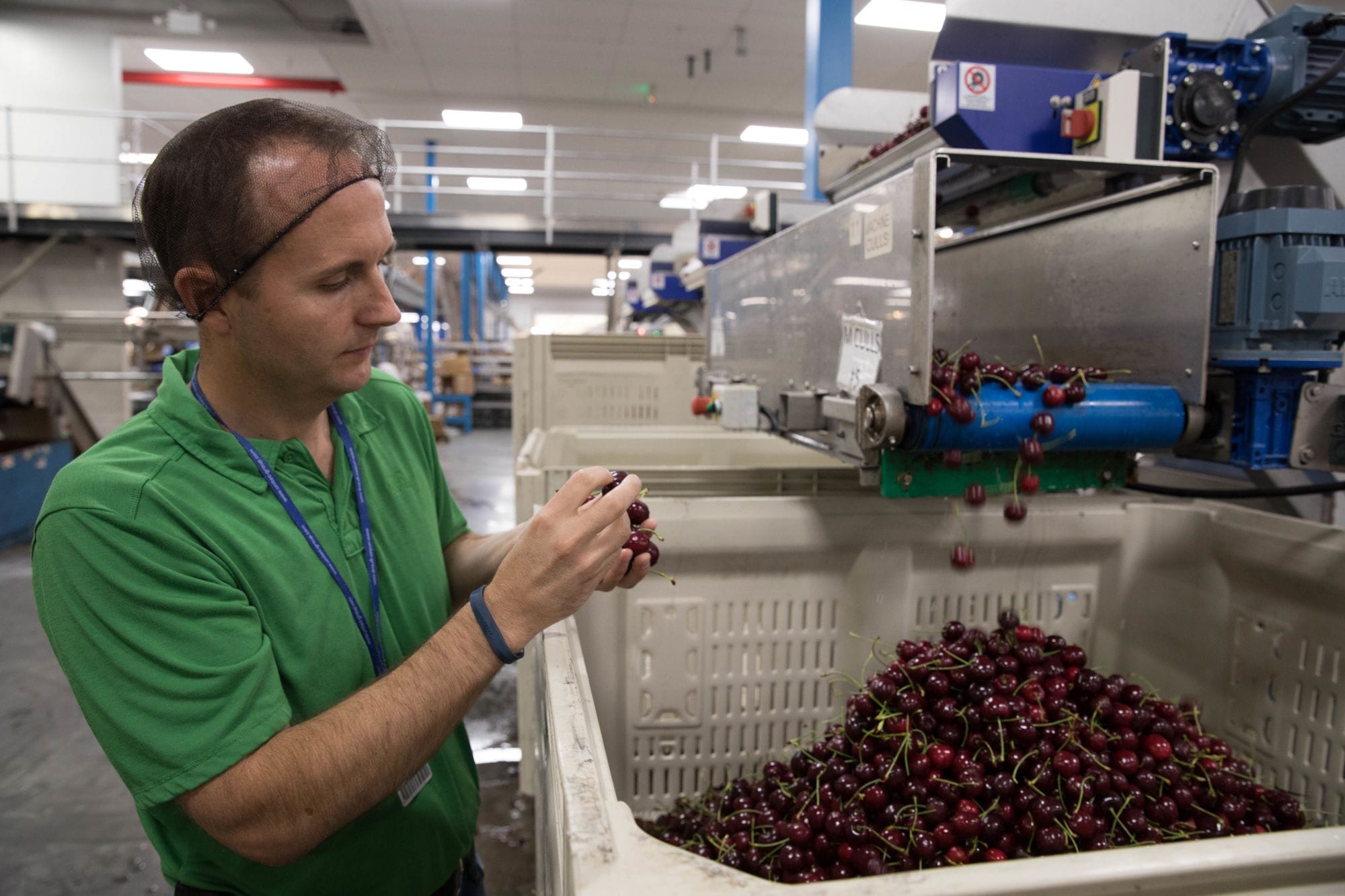 A man with cherries in the company
