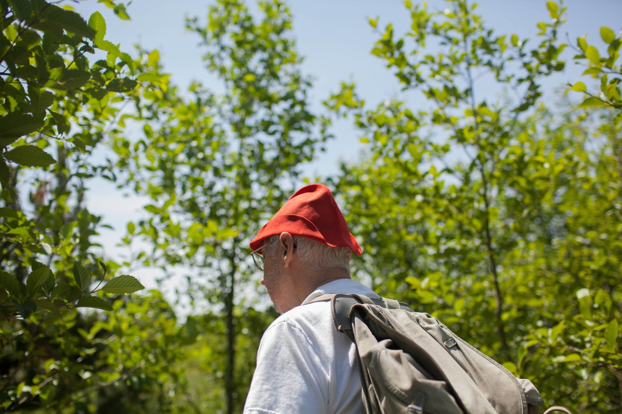 Man walks through the trees of Discovery Park