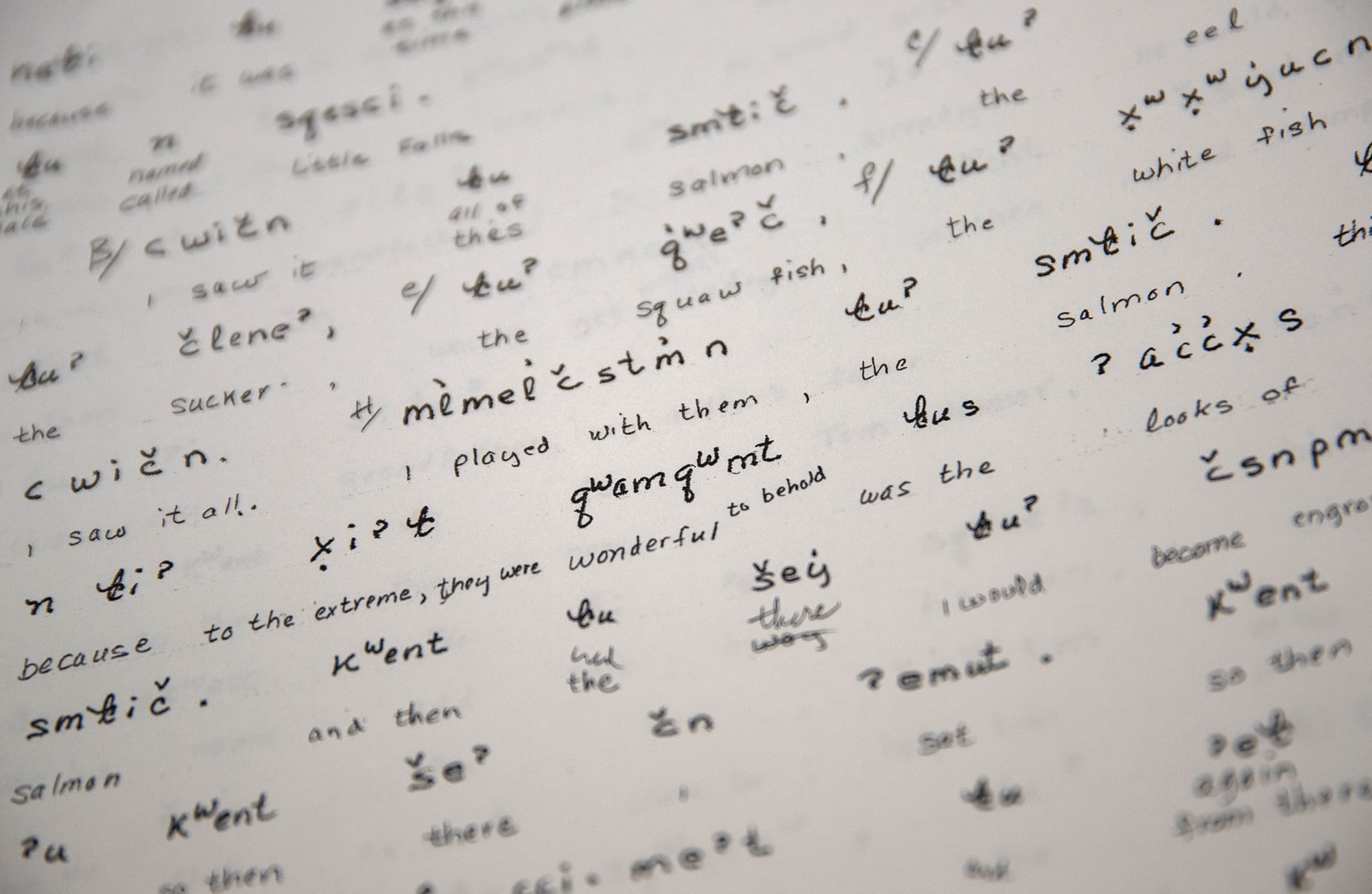 Writing in Salish