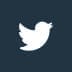 twitter follow