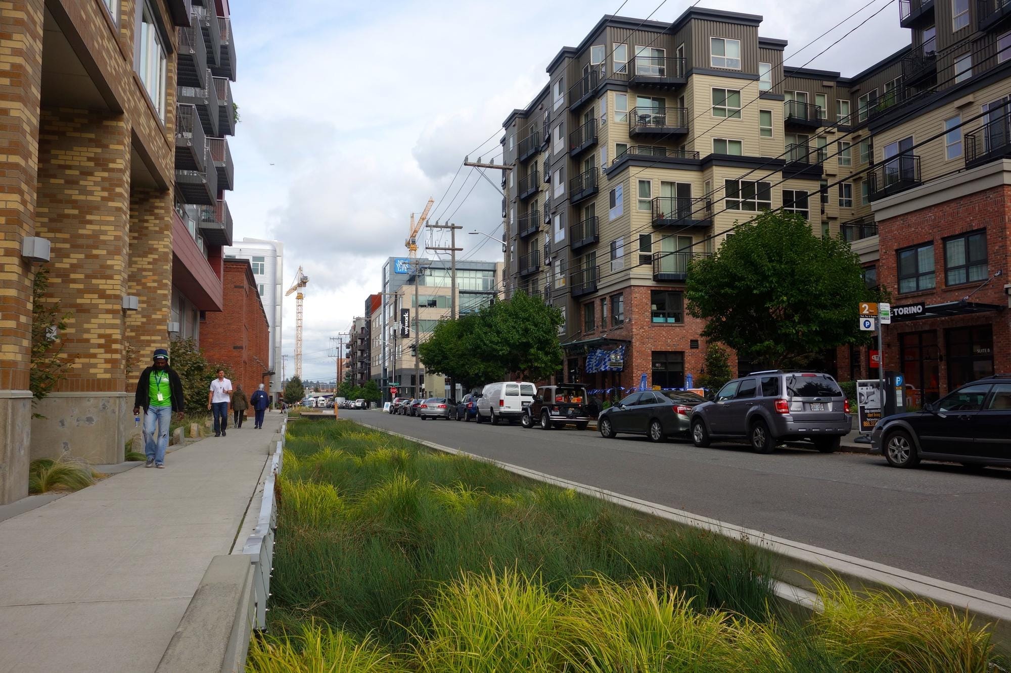 To solve water pollution, Seattle turns to an old solution | Cascade PBS