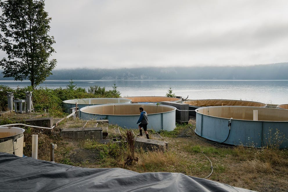 Large metal tanks on a hillside