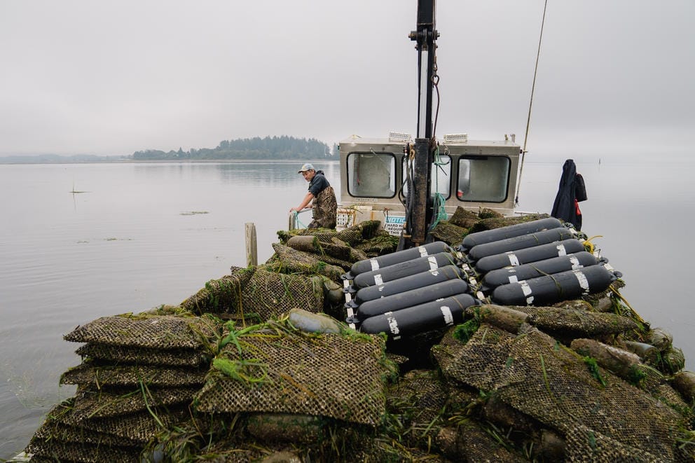 Workers on a boat filled with stacks of oyster bags