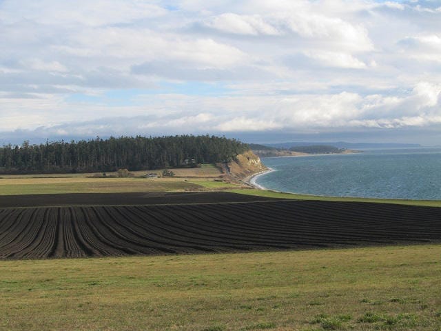 black soil, salish sea