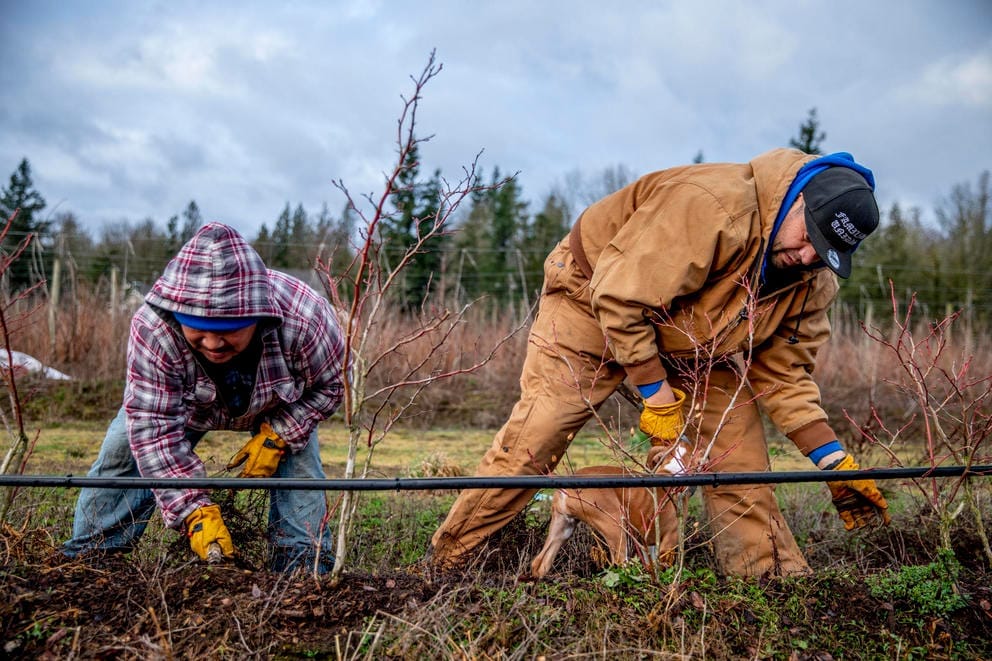 Two men working on a farm