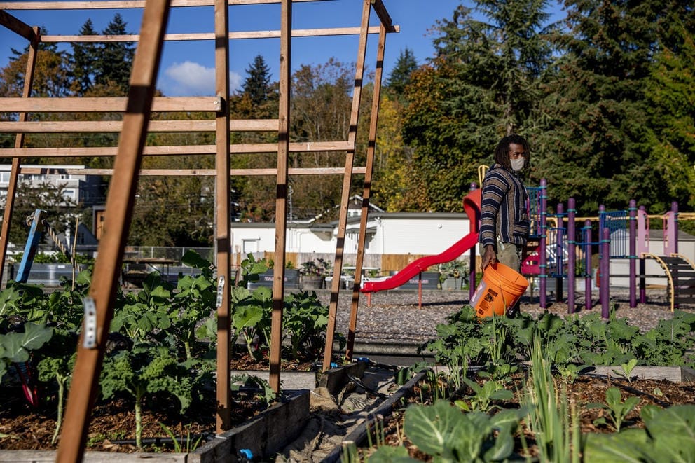a man tends a garden