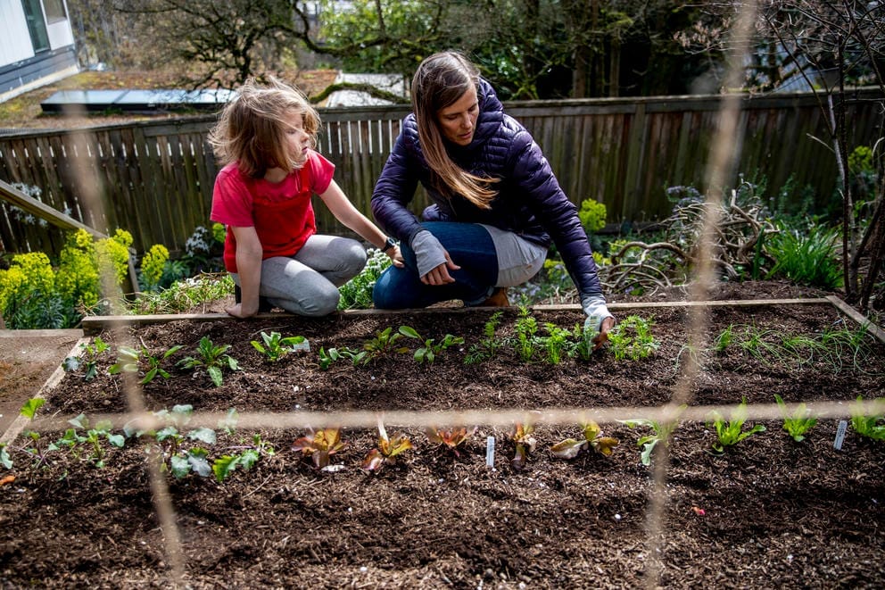 Planting a garden