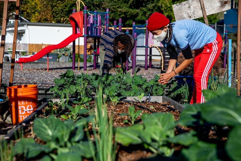 gardeners working in a garden in front of a playground