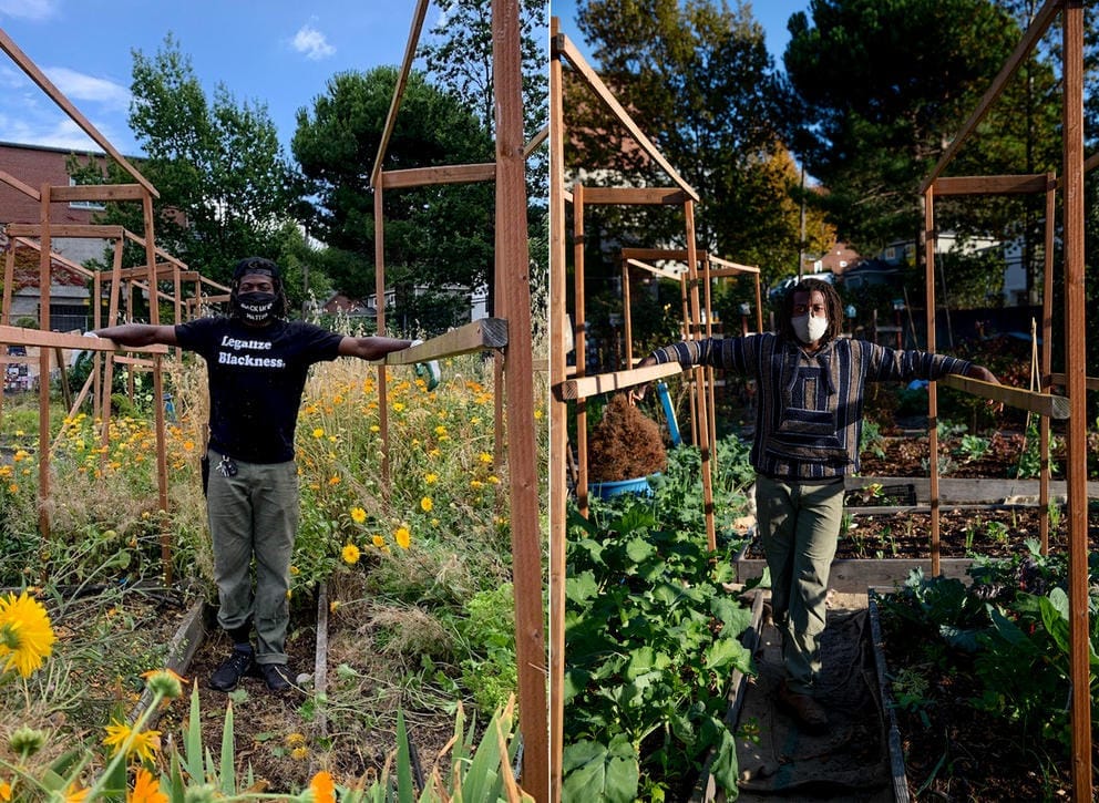 a man stands in a garden at its start, and again at its current state, to show growth over time