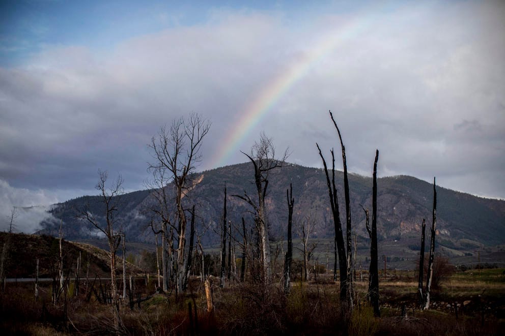 rainbow over a mountain