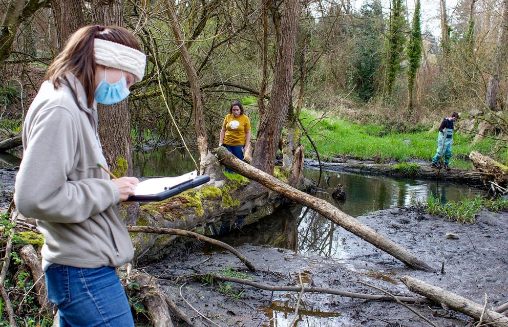 two women and a young boy explore a pond bisected by a downed tree