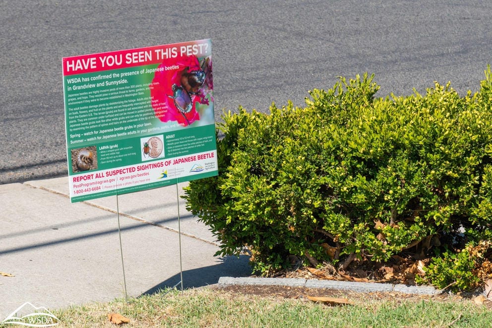 Sign about invasive beetle species