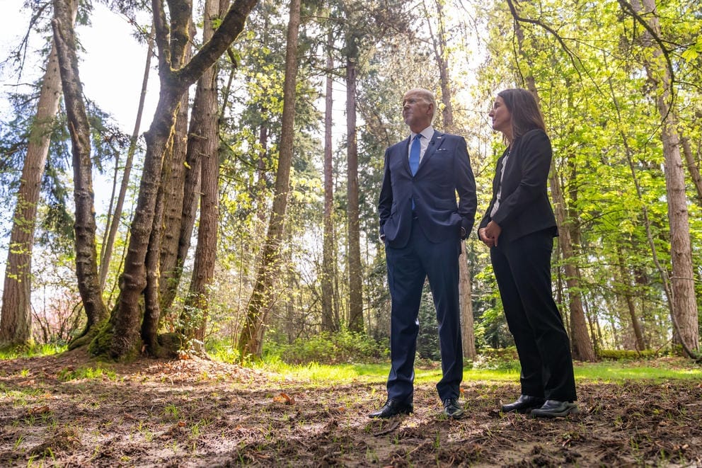President Biden in the forest