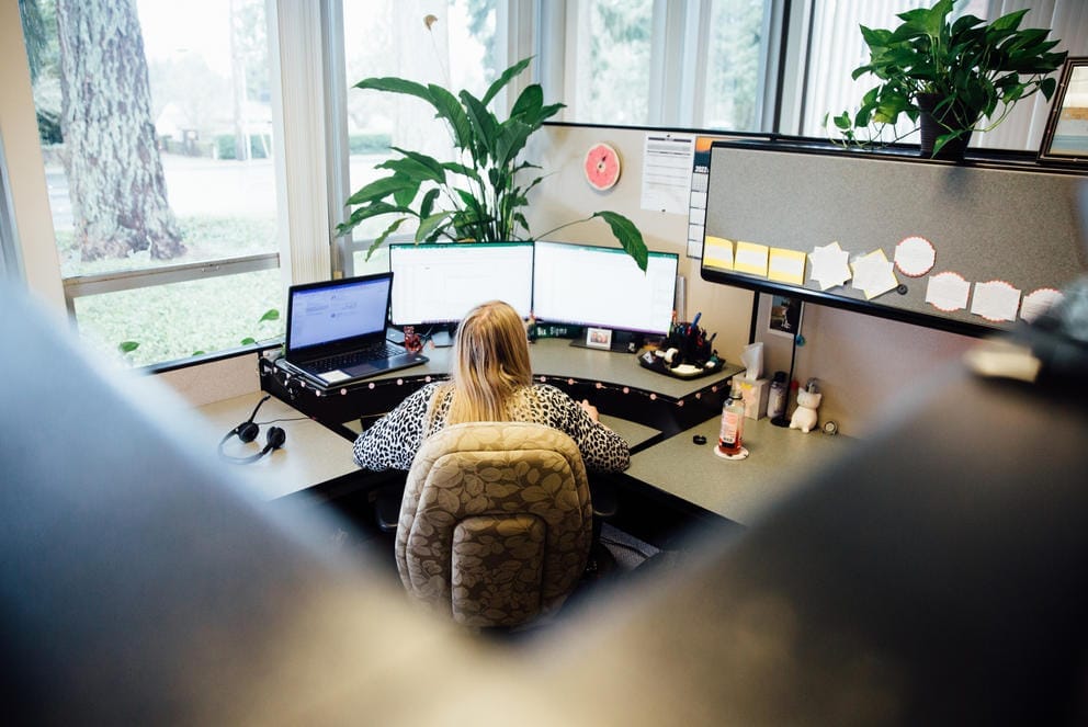 Stephanie Garza, an auditor's office employee, faces an array of computer screens at her desk in her cubicle..