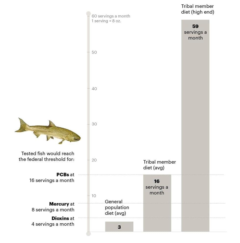 Bar graph showing average diet of fish between general population and tribal member, from 0-60 8-ounce servings per month. Gen. pop.: 3 per month; Tribal member average: 16; Tribal member high end: 59. Text: