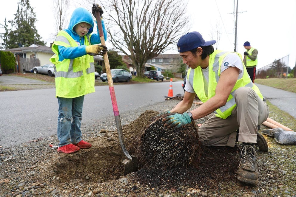 a child in a blue sweater and yellow safety vest holds a shovel next to a newly dug hole beside a street, beside a young man in a cap and yellow safety best untangles the roots of a tree that will be planted in the hole.
