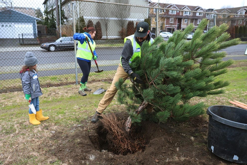 three people plant a tree in a hole in the ground of a field