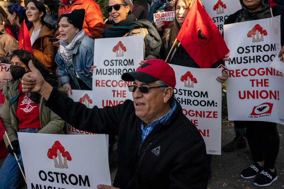 People protesting in front of a grocery store