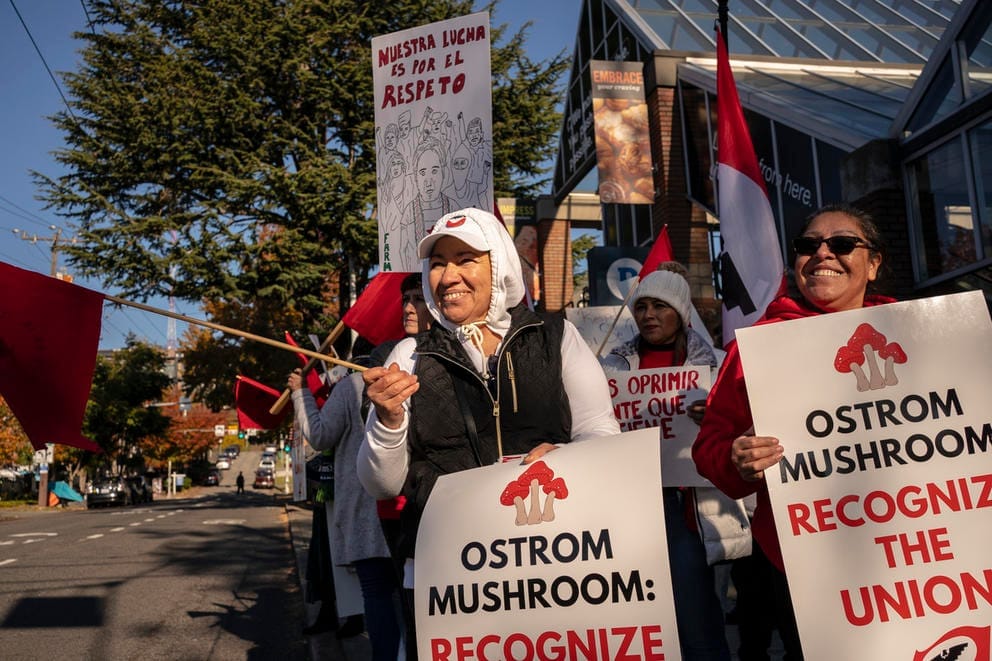 Manifestantes con pancartas y banderas durante un mitin en Seattle