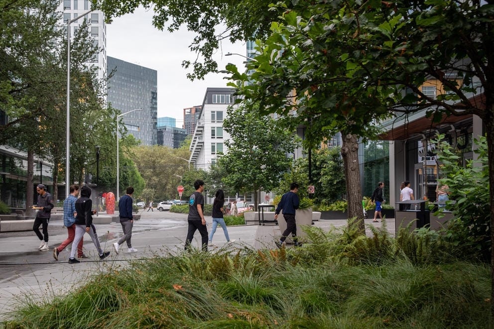 people walk in an urban setting with trees on the perimeter