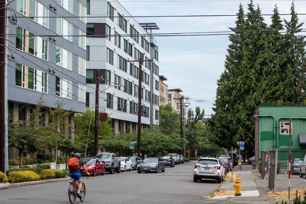 Old large conifers tower over younger deciduous trees in the South Lake Union neighborhood, with a building on the left and large conifers on the right