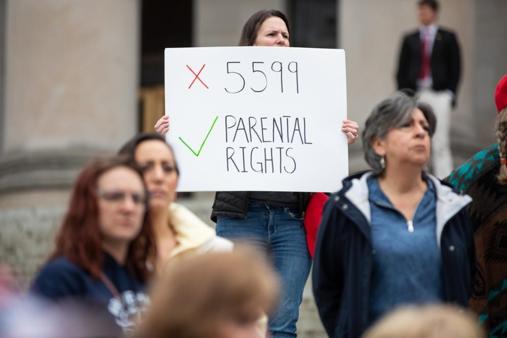 protesters at the capitol
