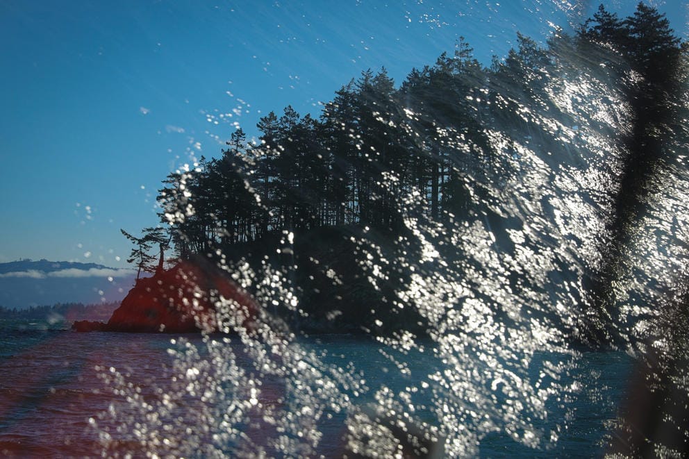 Water is reflected on a glass window through which a tree lined island is visible